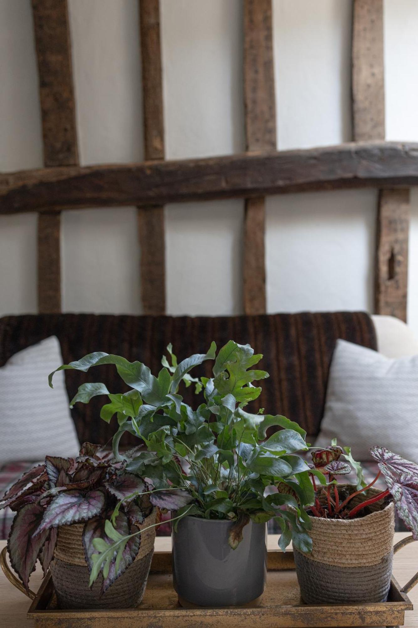 Saltmarsh Farmhouse Westdean Εξωτερικό φωτογραφία